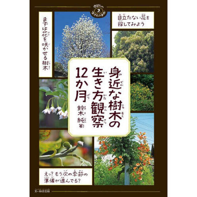 身近な樹木の生き方観察12か月