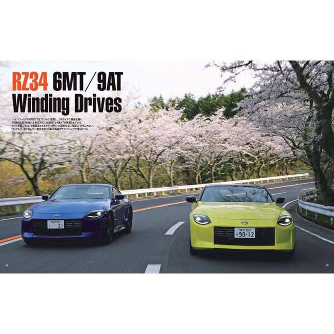ＲＺ３４　ＦａｉｒｌａｄｙＺ　ＰＥＲＦＥＣＴ　ＢＯＯＫ