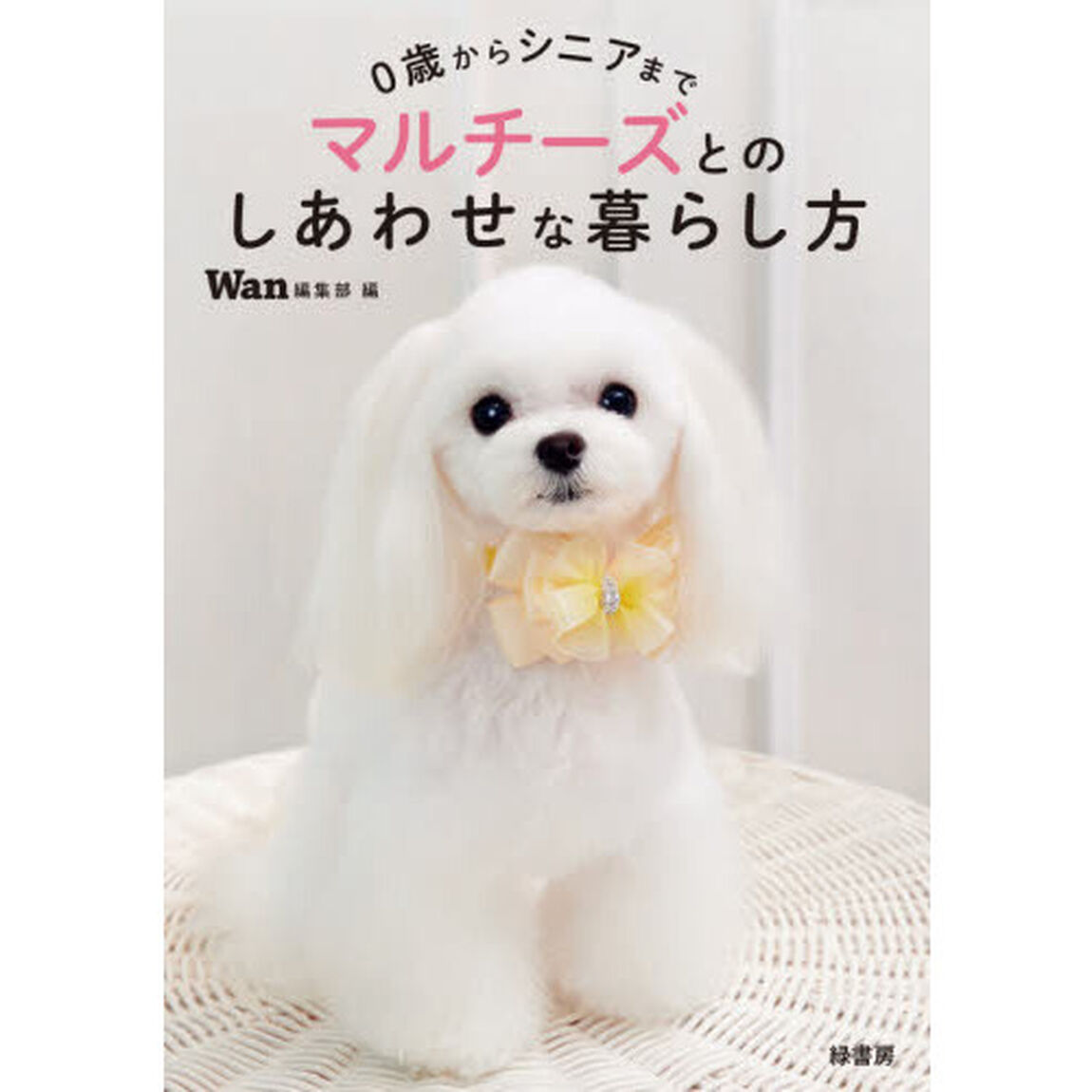 マルチーズとのしあわせな暮らし方　０歳からシニアまで