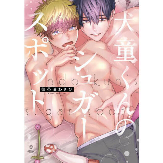 犬童くんのシュガースポット