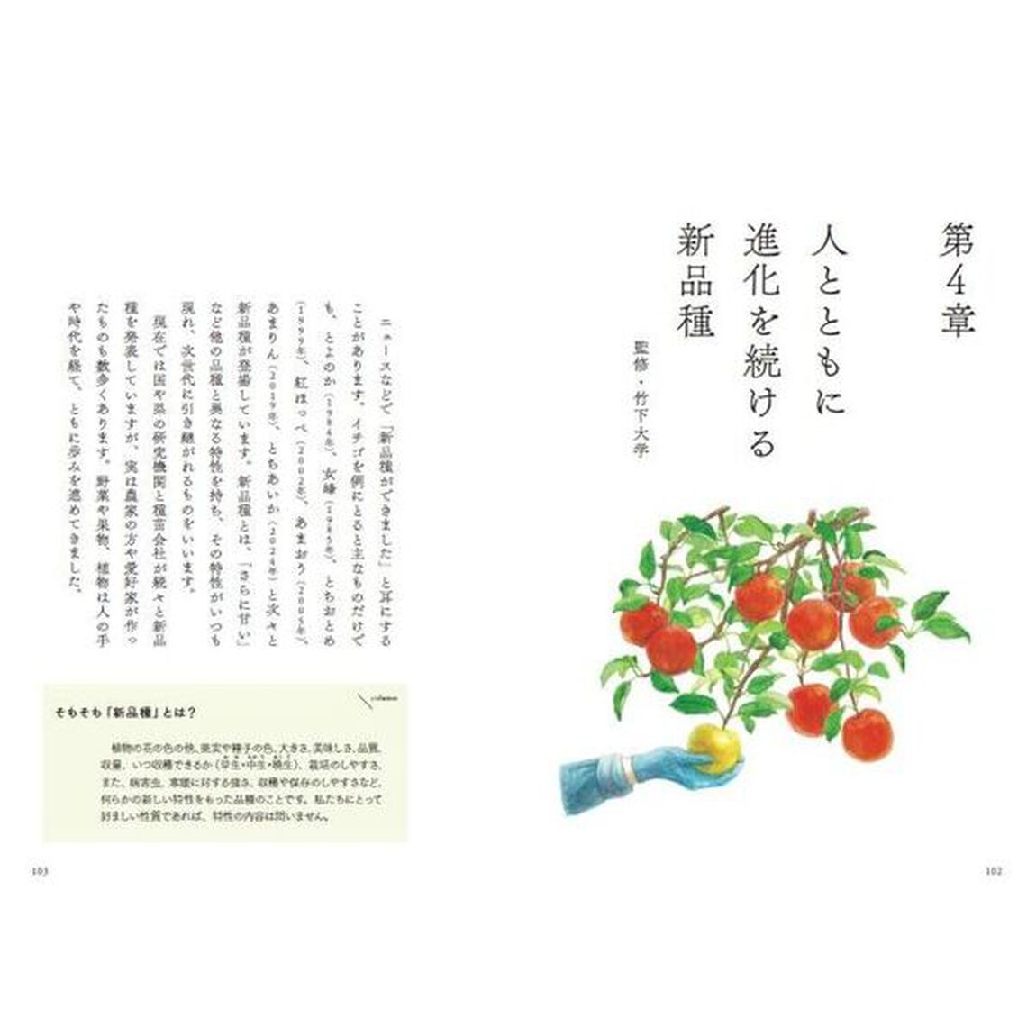 今日誰かに話したくなる野菜・果物学