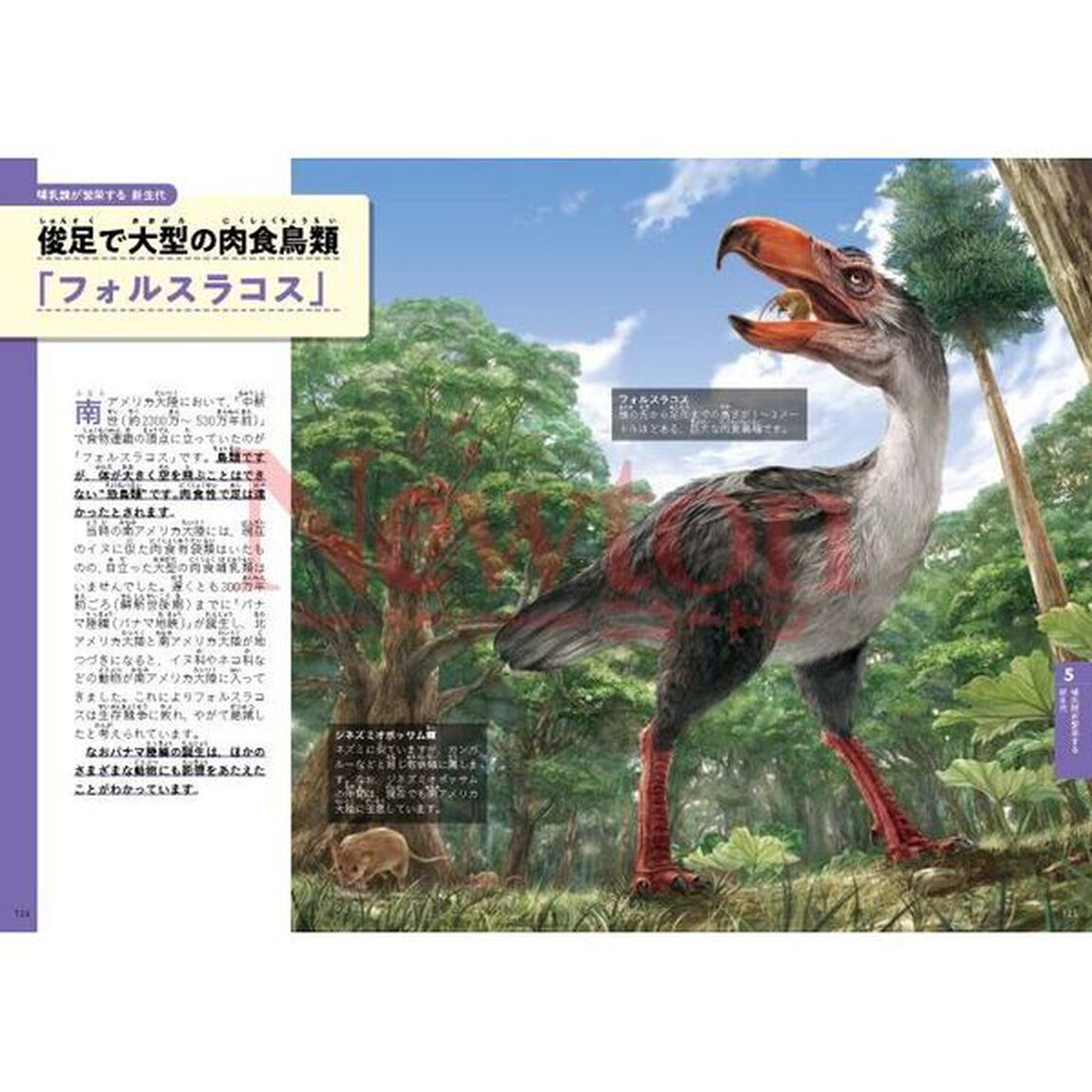 奇妙な生き物のオンパレード古生物のせかい　三葉虫、アノマロカリス、恐竜&hellip;個性豊かな太古の生き物たち