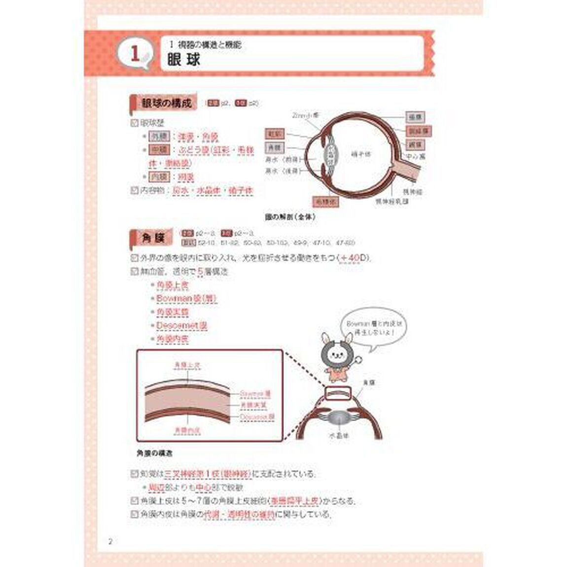 視能訓練士国家試験合格ノート「第２版」