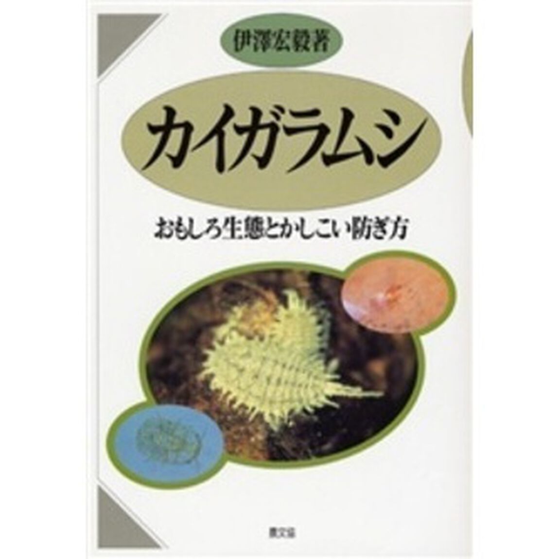 カイガラムシ　おもしろ生態とかしこい防ぎ方