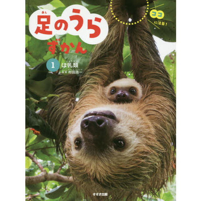 足のうらずかん　１「ほ乳類」