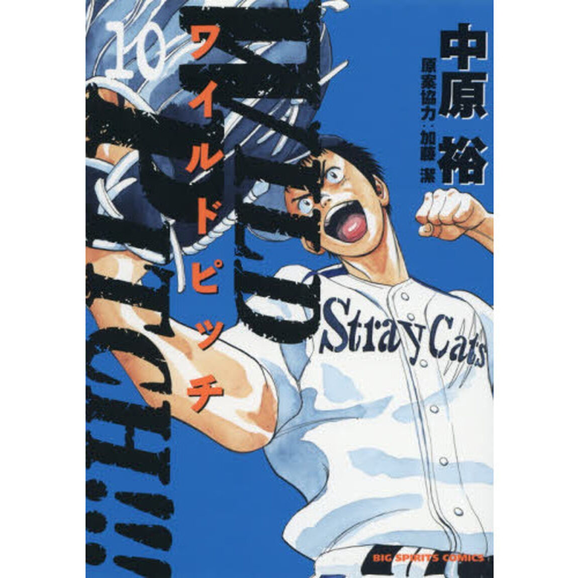 ＷＩＬＤ　ＰＩＴＣＨ！！！　１０