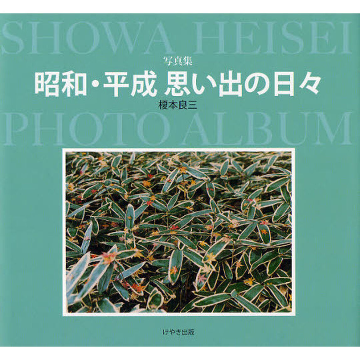 昭和・平成思い出の日々　写真集