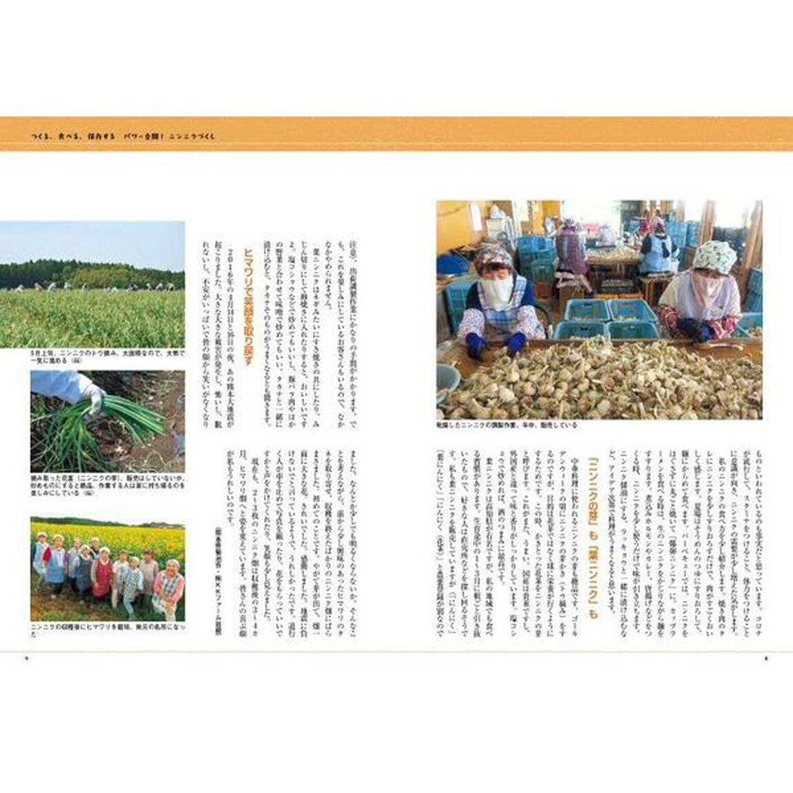 農家が教えるわくわくニンニクつくり　品種・栽培から葉ニンニク　ニンニクの芽　黒ニンニク　ニンニク卵黄まで
