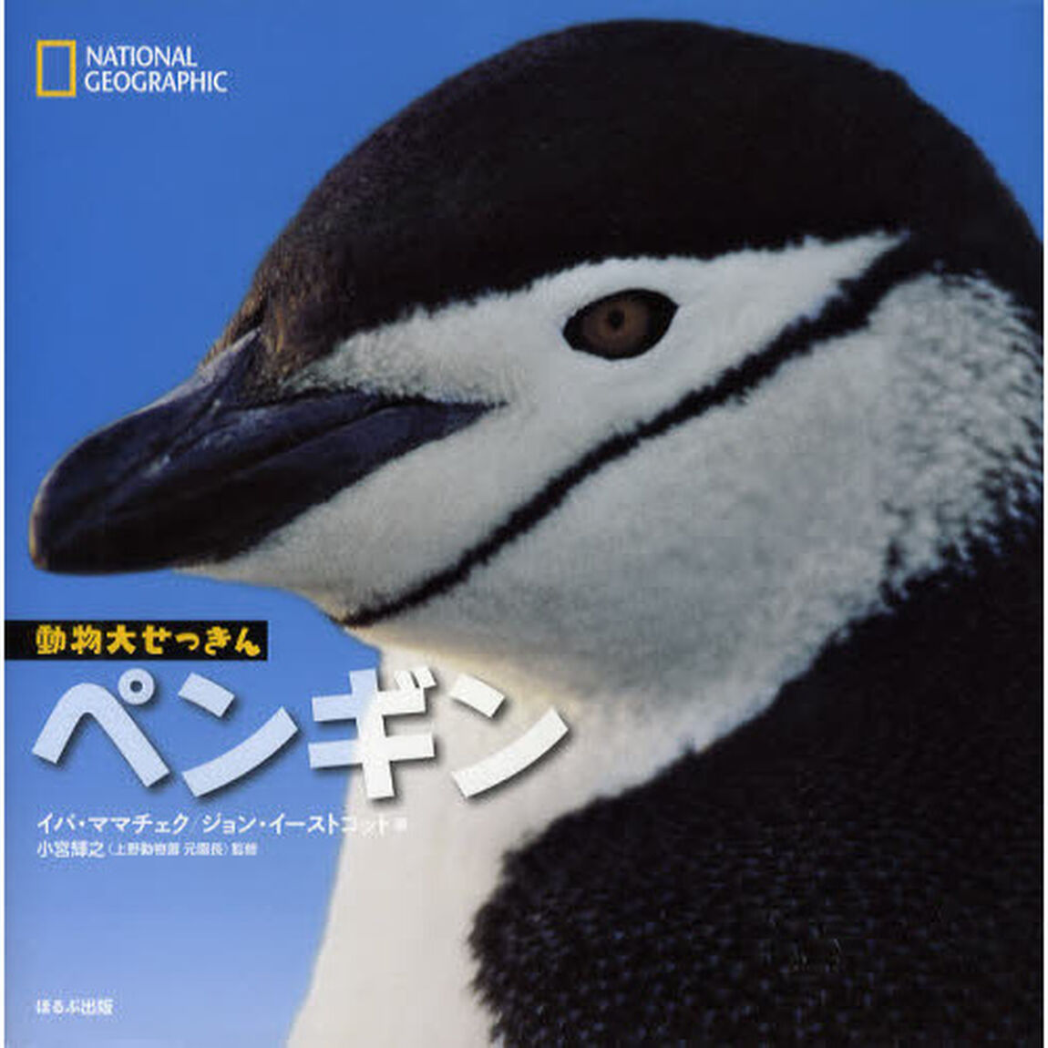 ペンギン