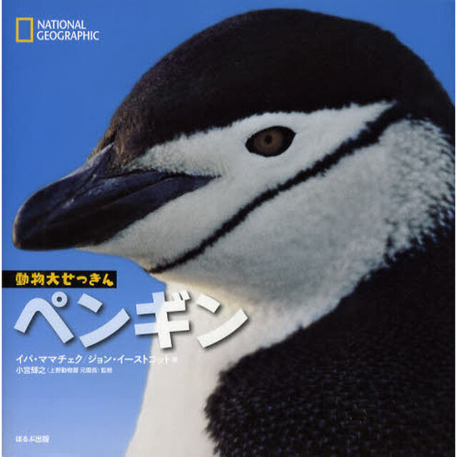 ペンギン