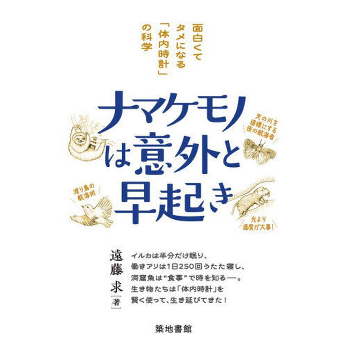 ナマケモノは意外と早起き