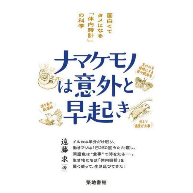 ナマケモノは意外と早起き