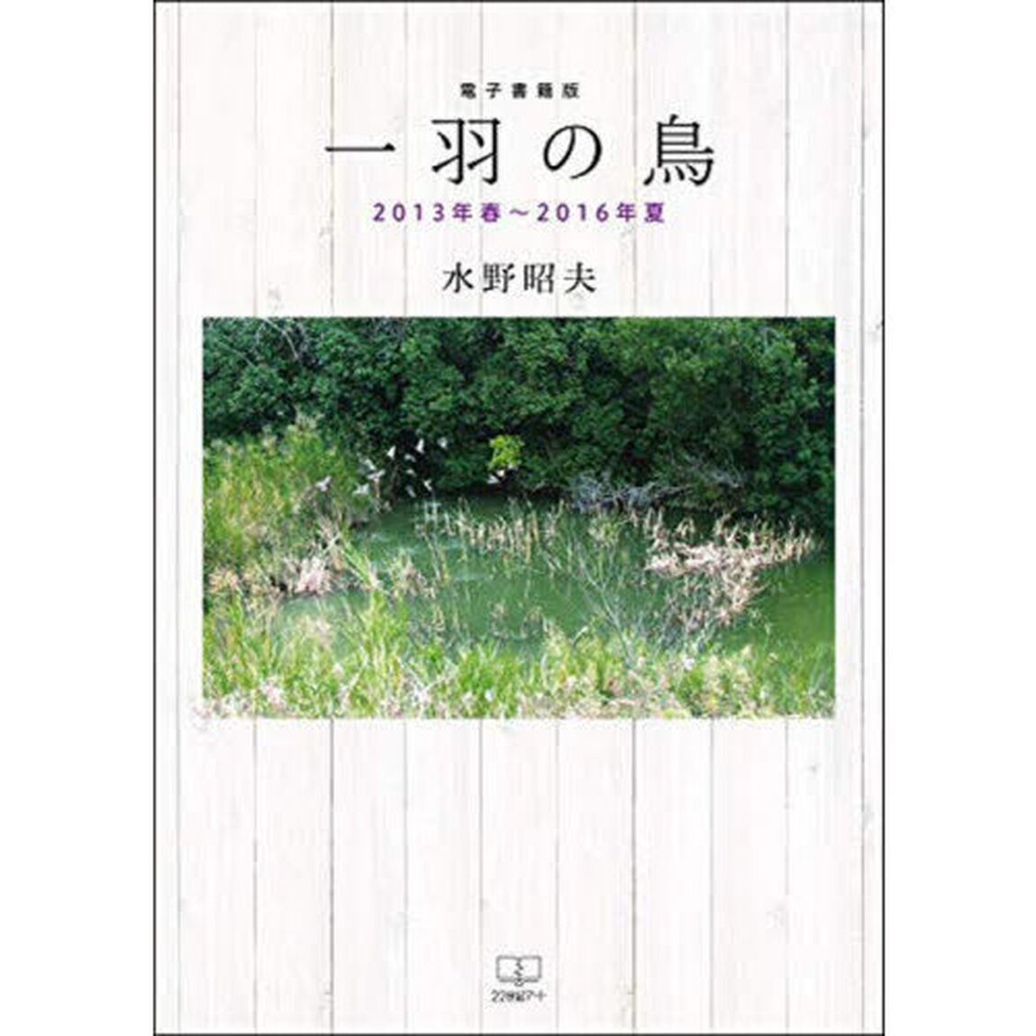 一羽の鳥　２０１３年春〜２０１６年夏