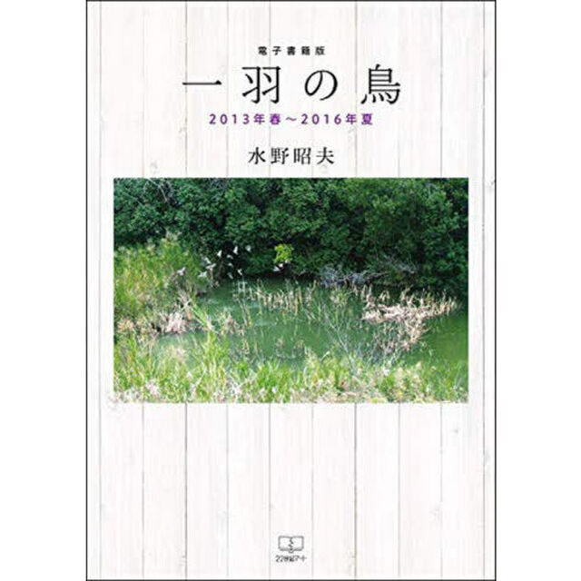 一羽の鳥　２０１３年春〜２０１６年夏