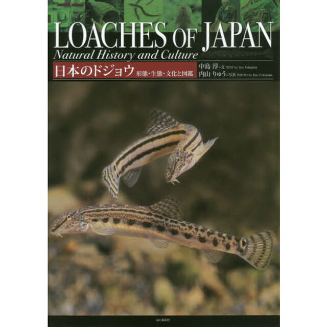 日本のドジョウ　形態・生態・文化と図鑑