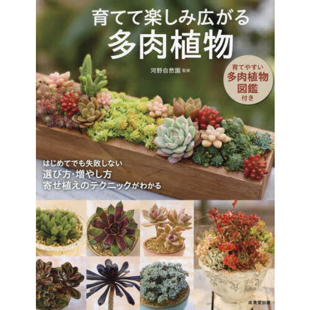 育てて楽しみ広がる多肉植物