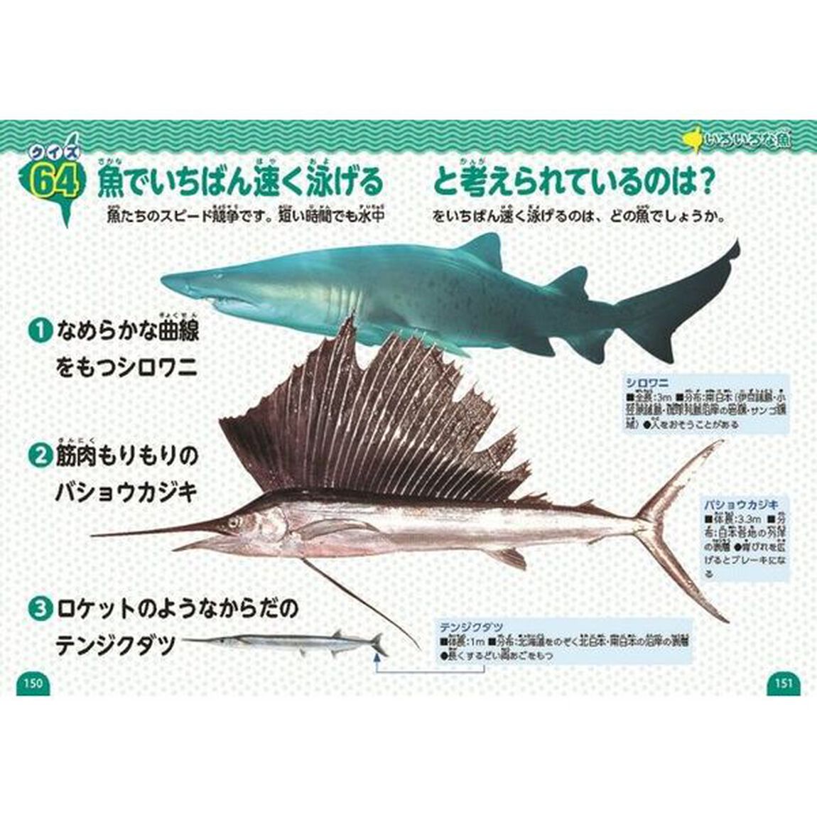 魚のクイズ図鑑「新装版」