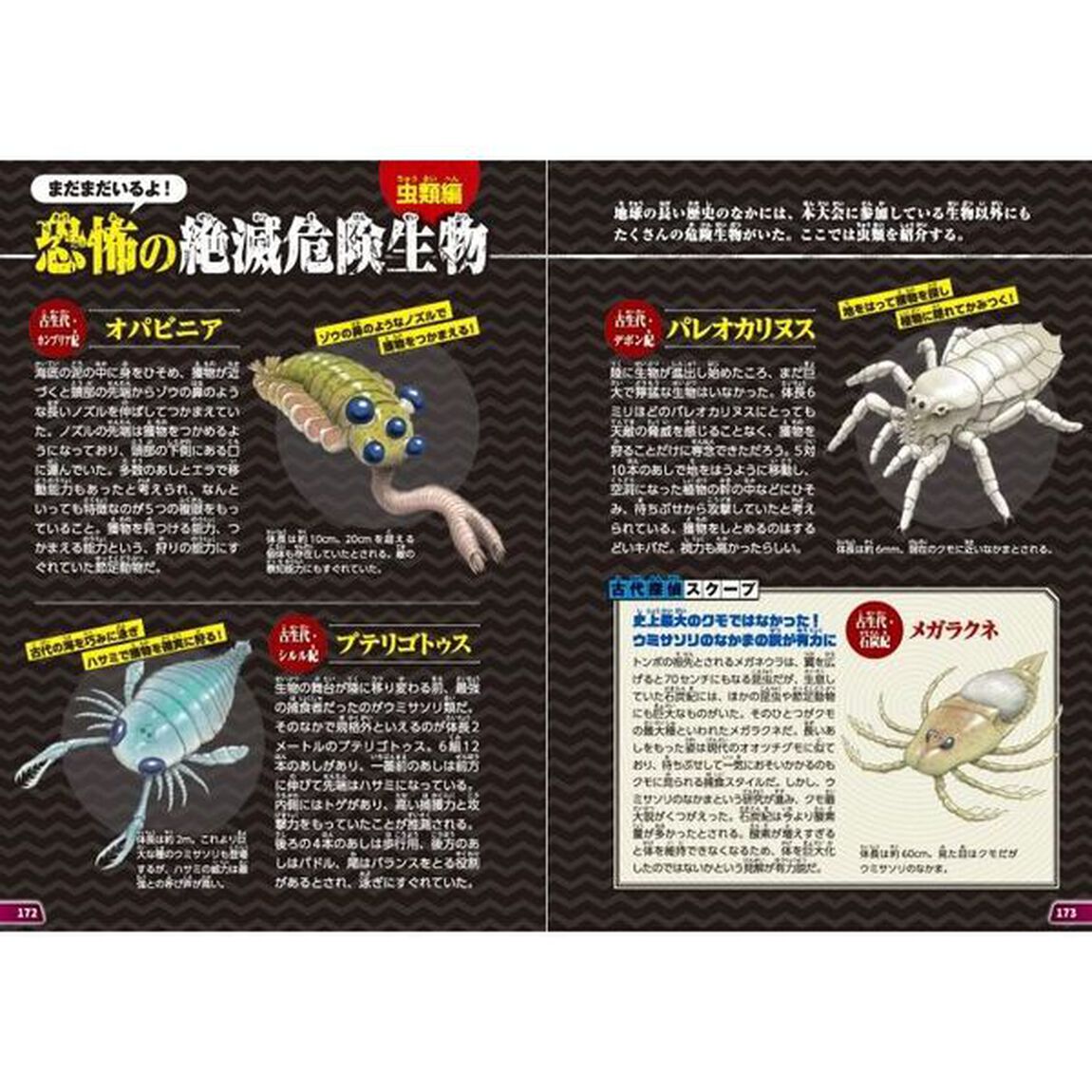 頂上決戦！絶滅危険生物最強王決定戦