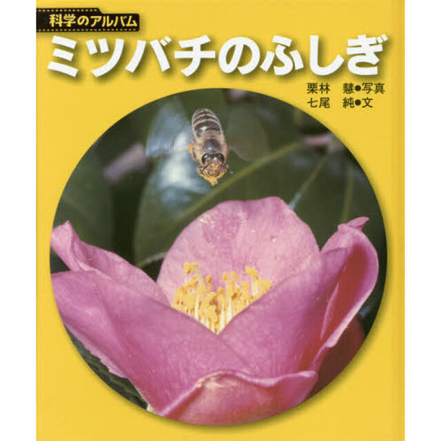 ミツバチのふしぎ　新装版