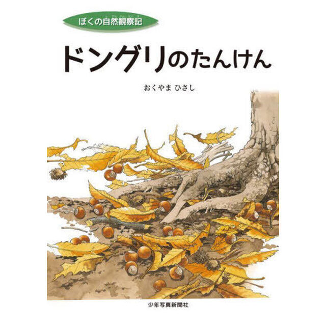 ドングリのたんけん