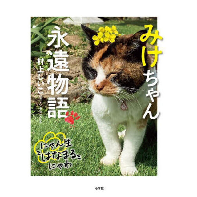 みけちゃん永遠物語　にゃん生&ldquo;はなまる&rdquo;にゃわ