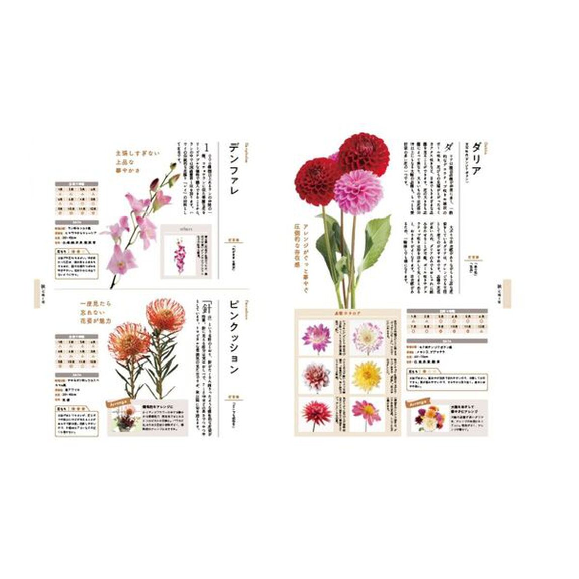 四季の花図鑑　バラの魅力大特集