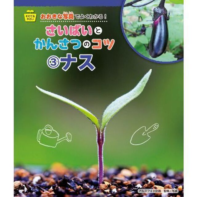 おおきな写真でよくわかる！さいばいとかんさつのコツ　そだてるやさい　３「ナス」