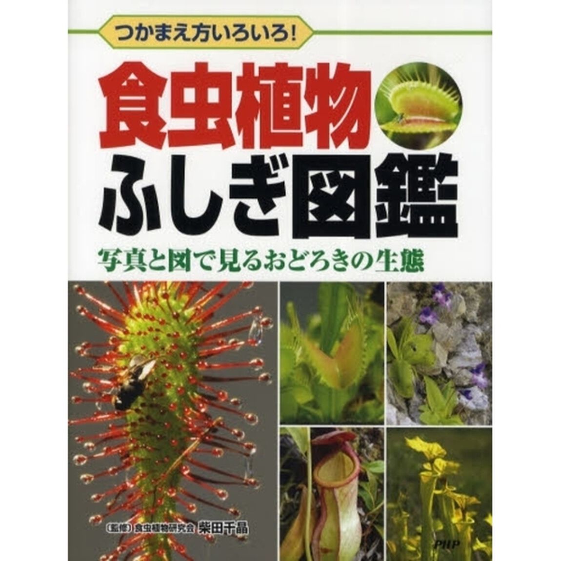 食虫植物ふしぎ図鑑　つかまえ方いろいろ！　写真と図で見るおどろきの生態