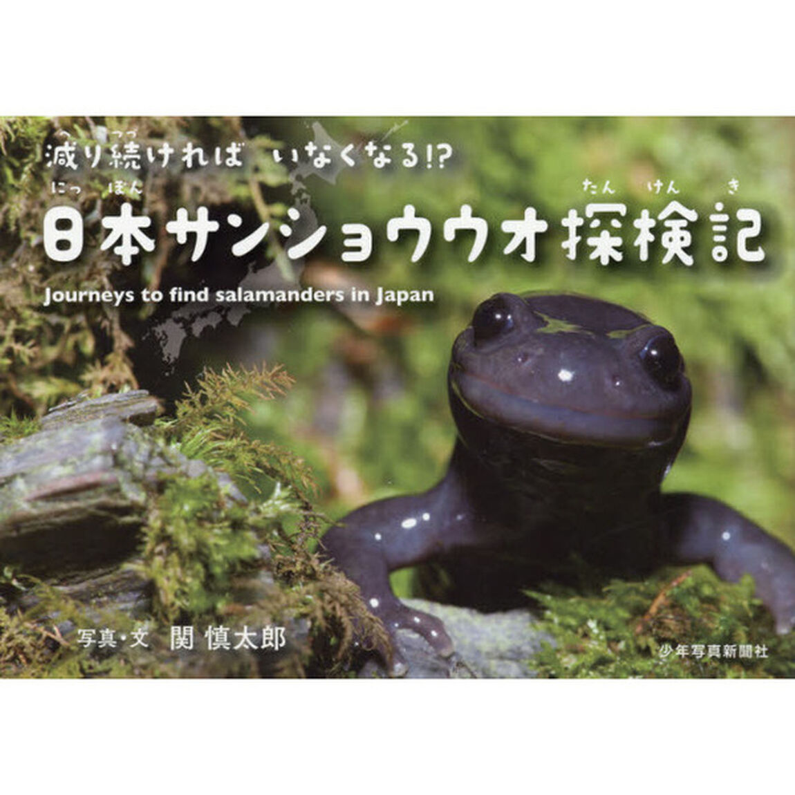 減り続ければいなくなる！？日本サンショウウオ探検記