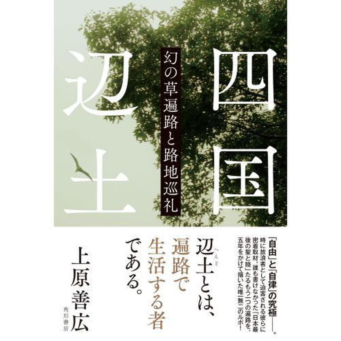 四国辺土　幻の草遍路と路地巡礼