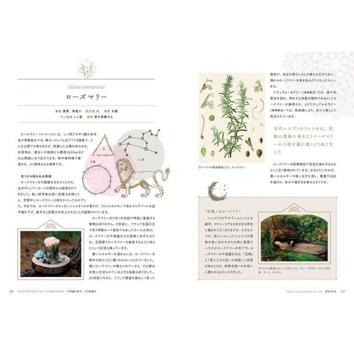 植物の不思議なちから　古代から語りつがれる７２の物語