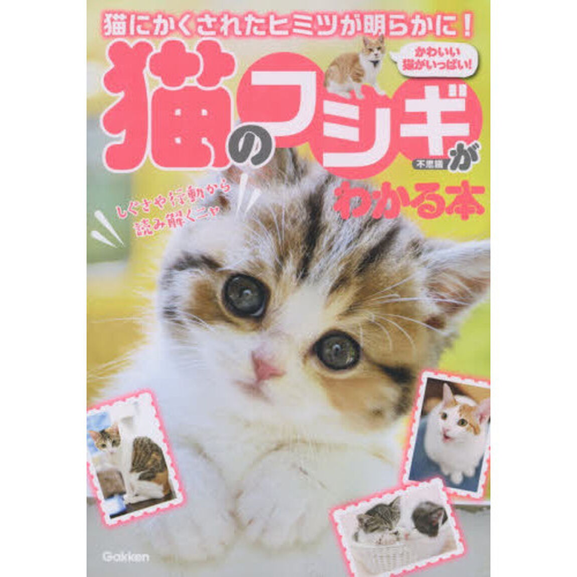 猫のフシギがわかる本　猫にかくされたヒミツが明らかに！