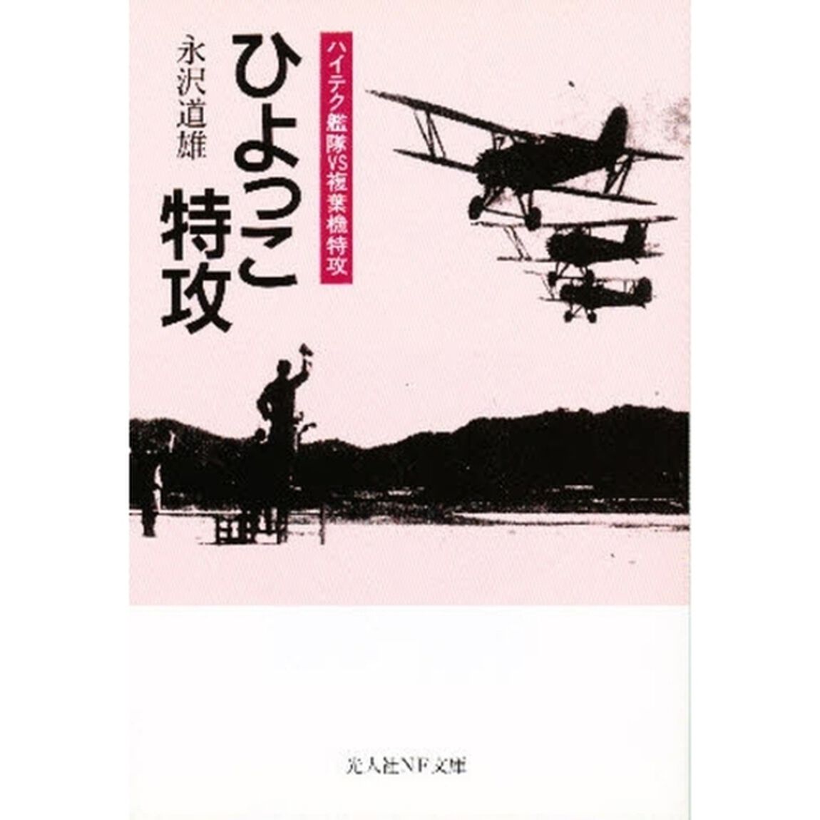 ひよっこ特攻　ハイテク艦隊ｖｓ複葉機特攻
