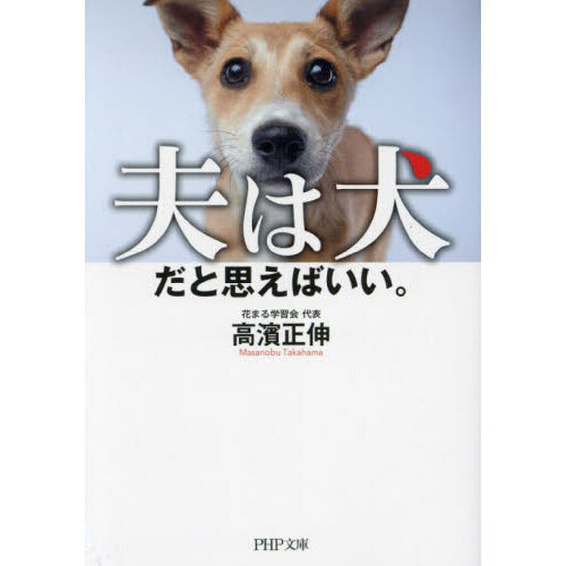 夫は犬だと思えばいい。