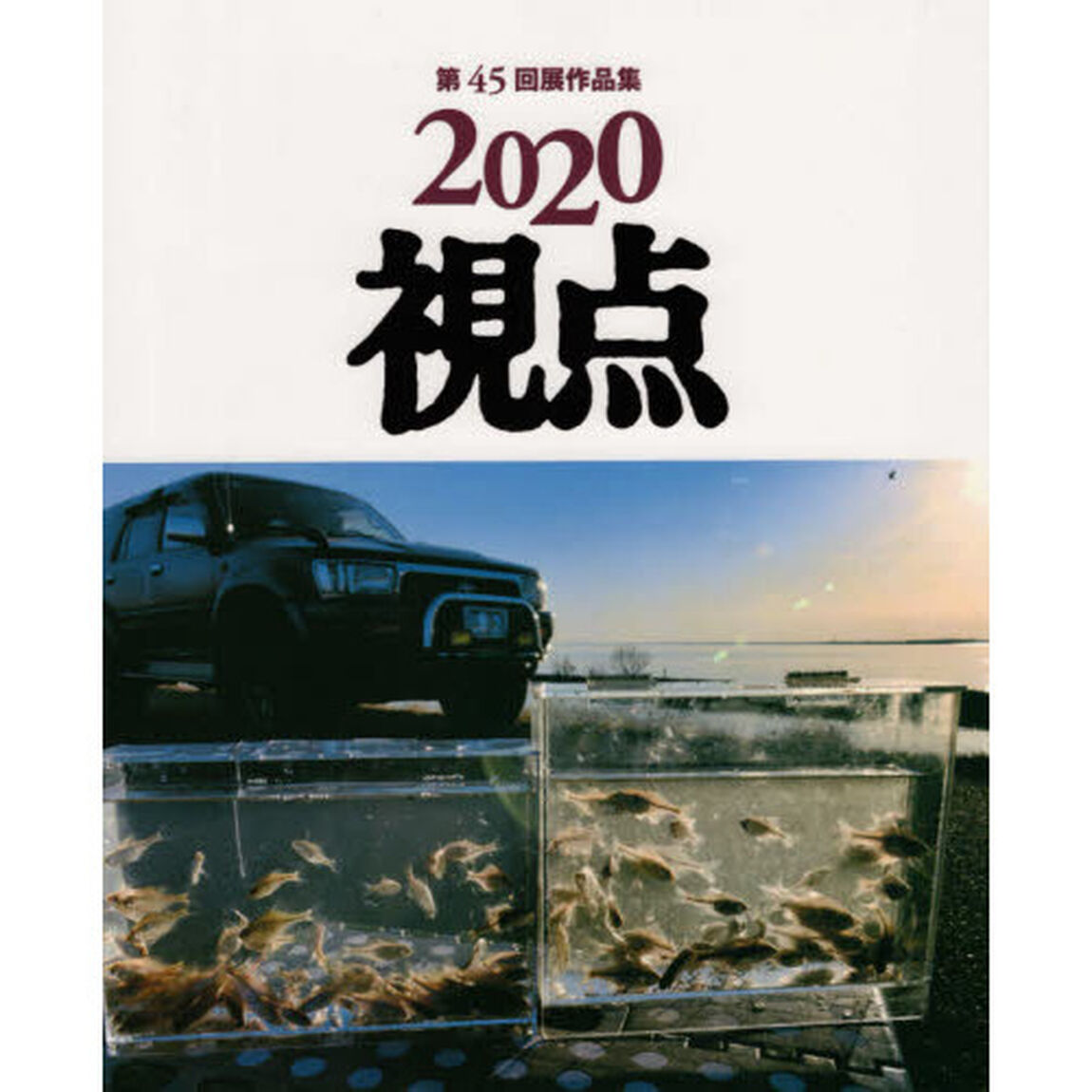 視点　写真集　２０２０「第４５回展作品集」