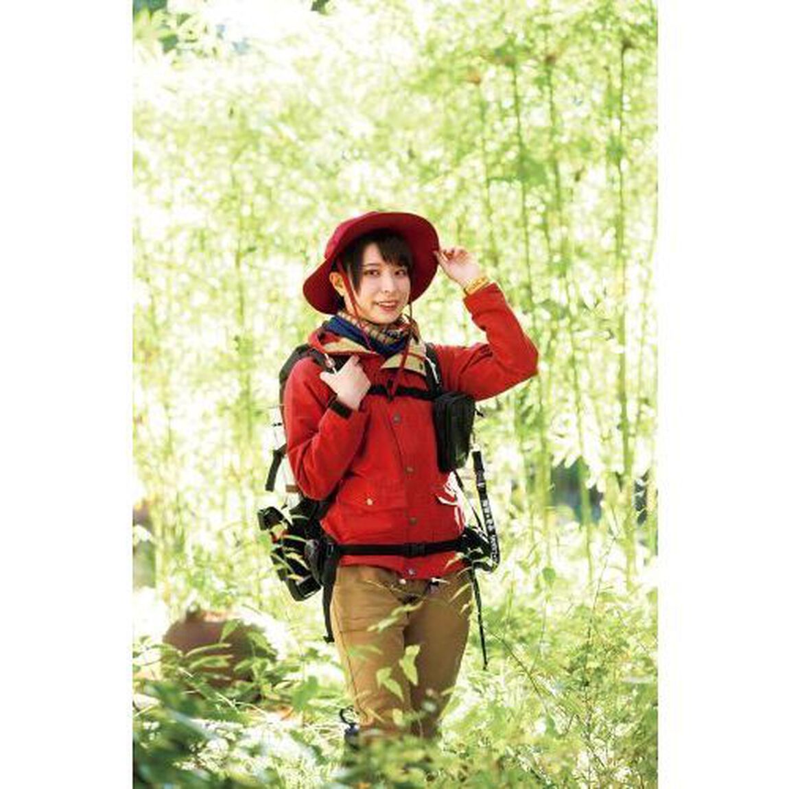 東海の絶景山登り&ハイキング ウォーカームック
