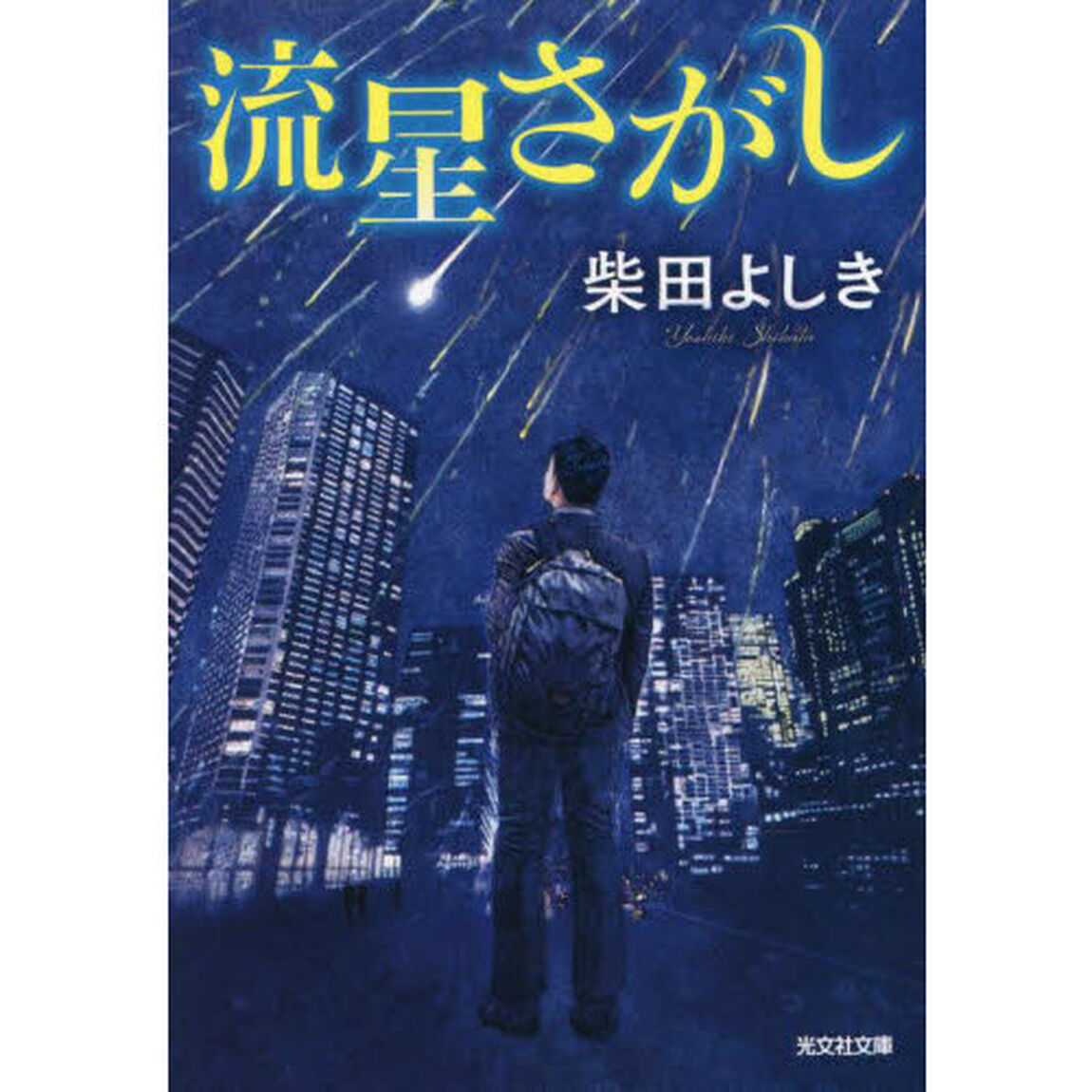 流星さがし
