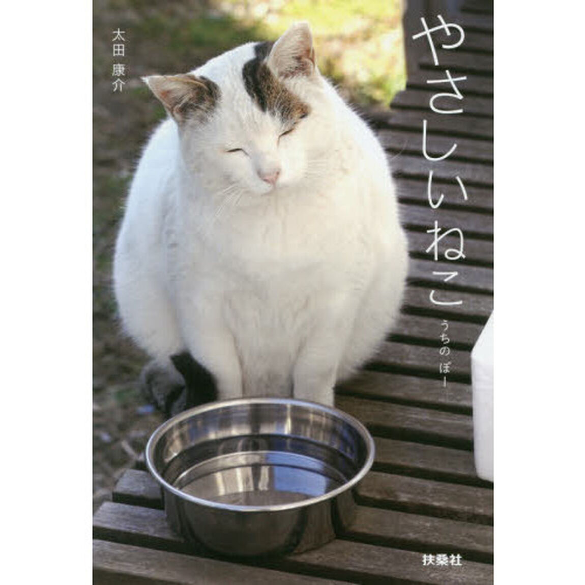 やさしいねこ　うちのぽー