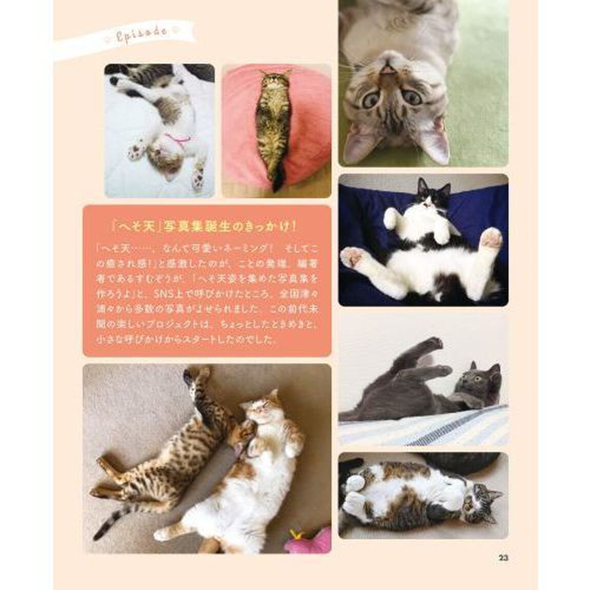 へそ天にゃんこ　見るだけで幸せににゃる