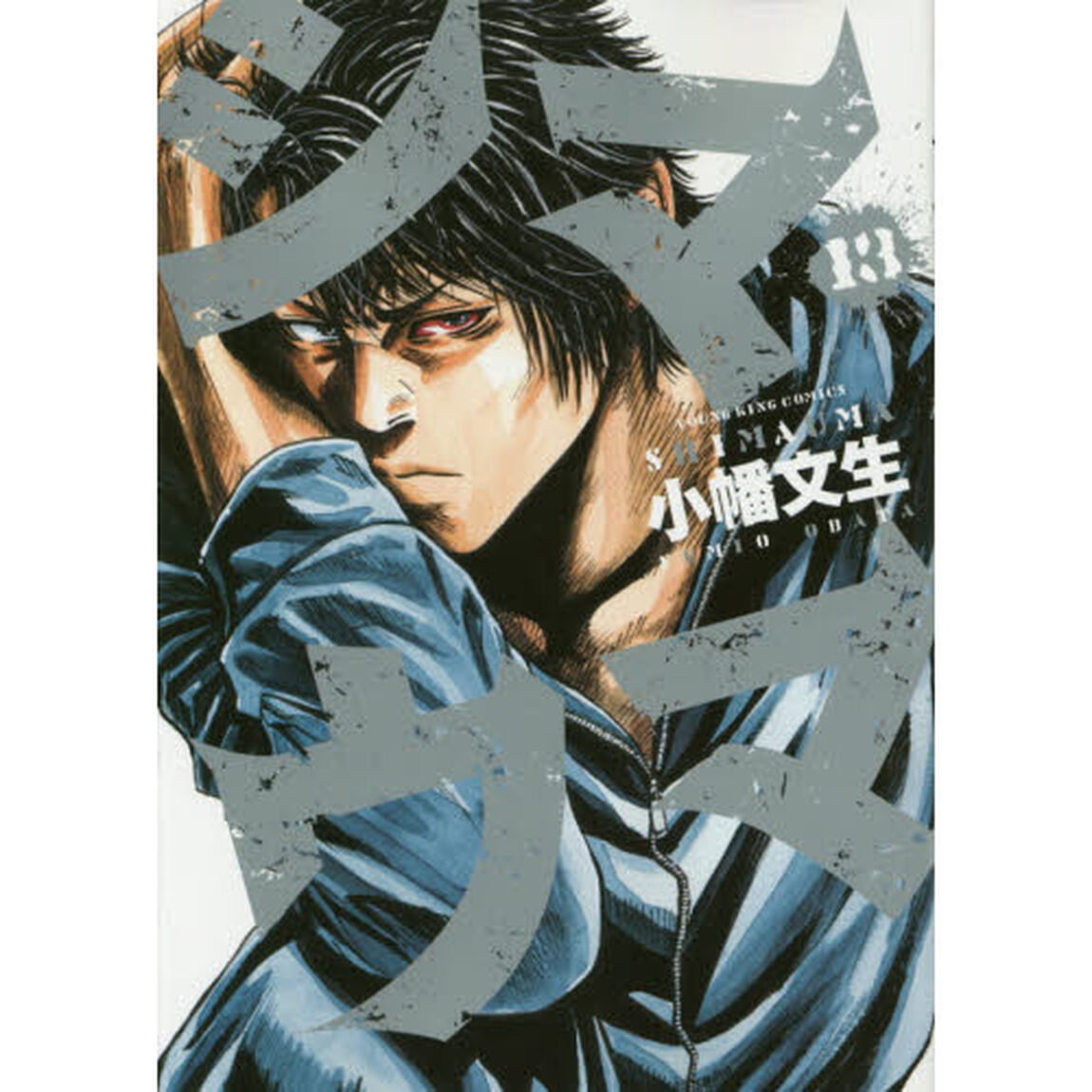 シマウマ　１３