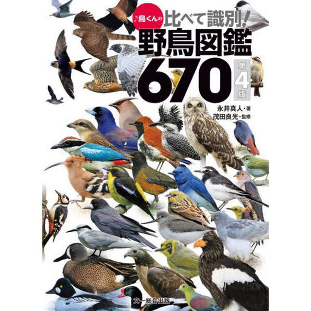 ♪鳥くんの比べて識別！野鳥図鑑６７０「第４版」