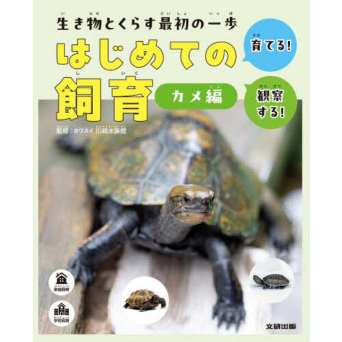 生き物とくらす最初の一歩はじめての飼育　育てる！観察する！　カメ編