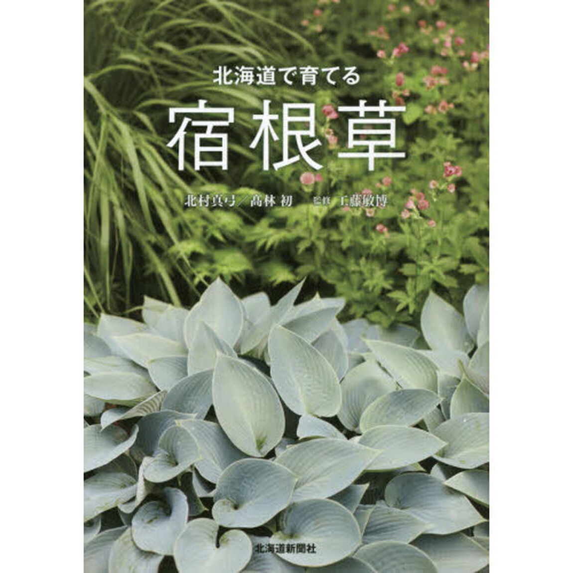 北海道で育てる宿根草