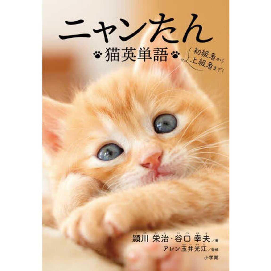 ニャンたん　猫英単語