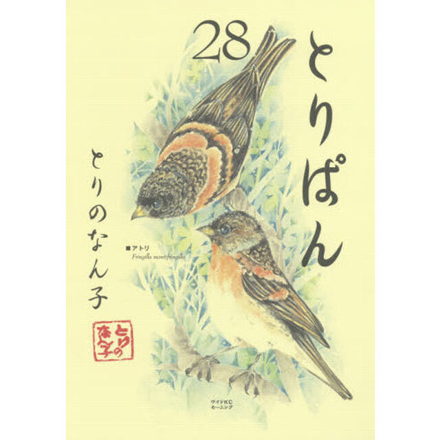 とりぱん　２８