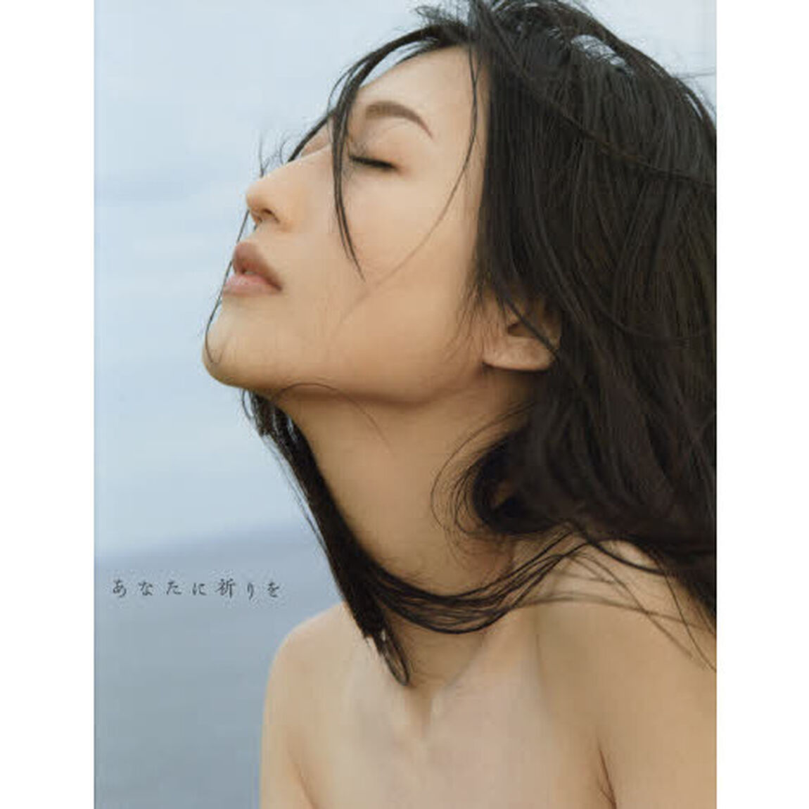 あなたに祈りを　壇蜜写真集