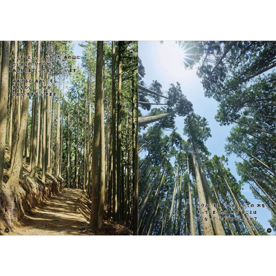 山の木、とどけ！　つなげるつながる木の仕事