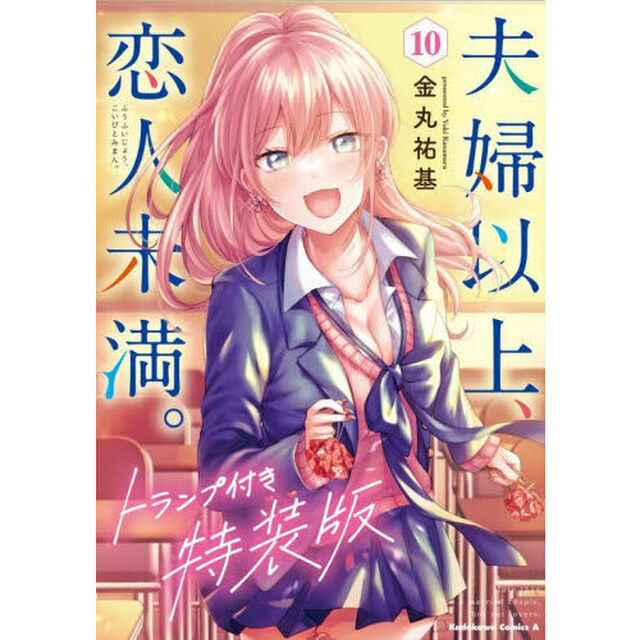 夫婦以上、恋人未満。　１０　特装版