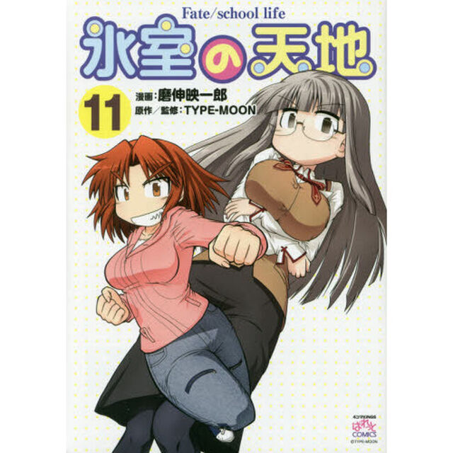 氷室の天地　Ｆａｔｅ／ｓｃｈｏｏｌ　ｌｉｆｅ　１１