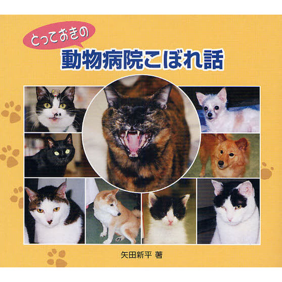 とっておきの動物病院こぼれ話
